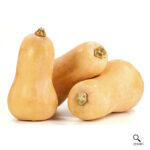 Butter Nut Squash Box