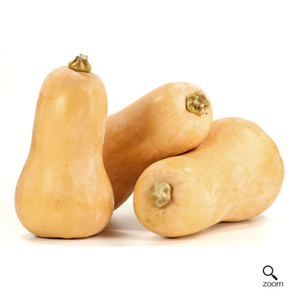 Butternut Squash
