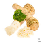 Horseradish 1 Stick