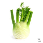 Fennel