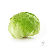 Lettuce (Iceberg)