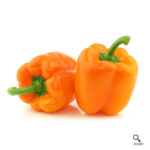 Peppers (Orange)