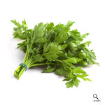 Parsley