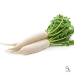 Mooli (White Radish)