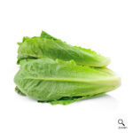 Lettuce (Cos) Box