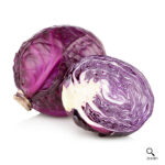 Cabbage Red