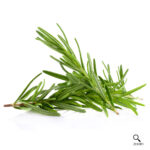 Rosemary (1 Bunch)