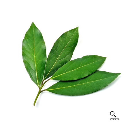 Bay Leaf (1 bunch)