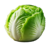 Washed 250gram Iceberg Lettuce