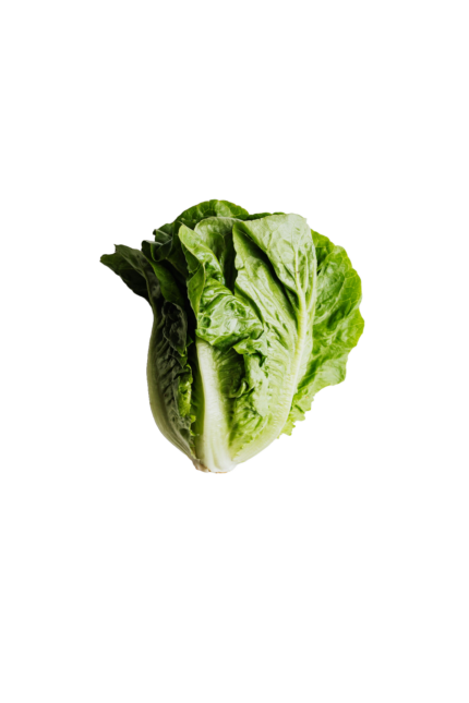 Washed Romaine Lettuce